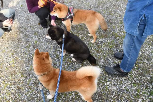 親子で写真撮影♪